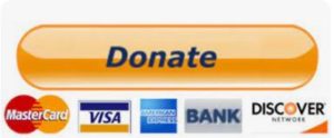 PayPal Donate Button